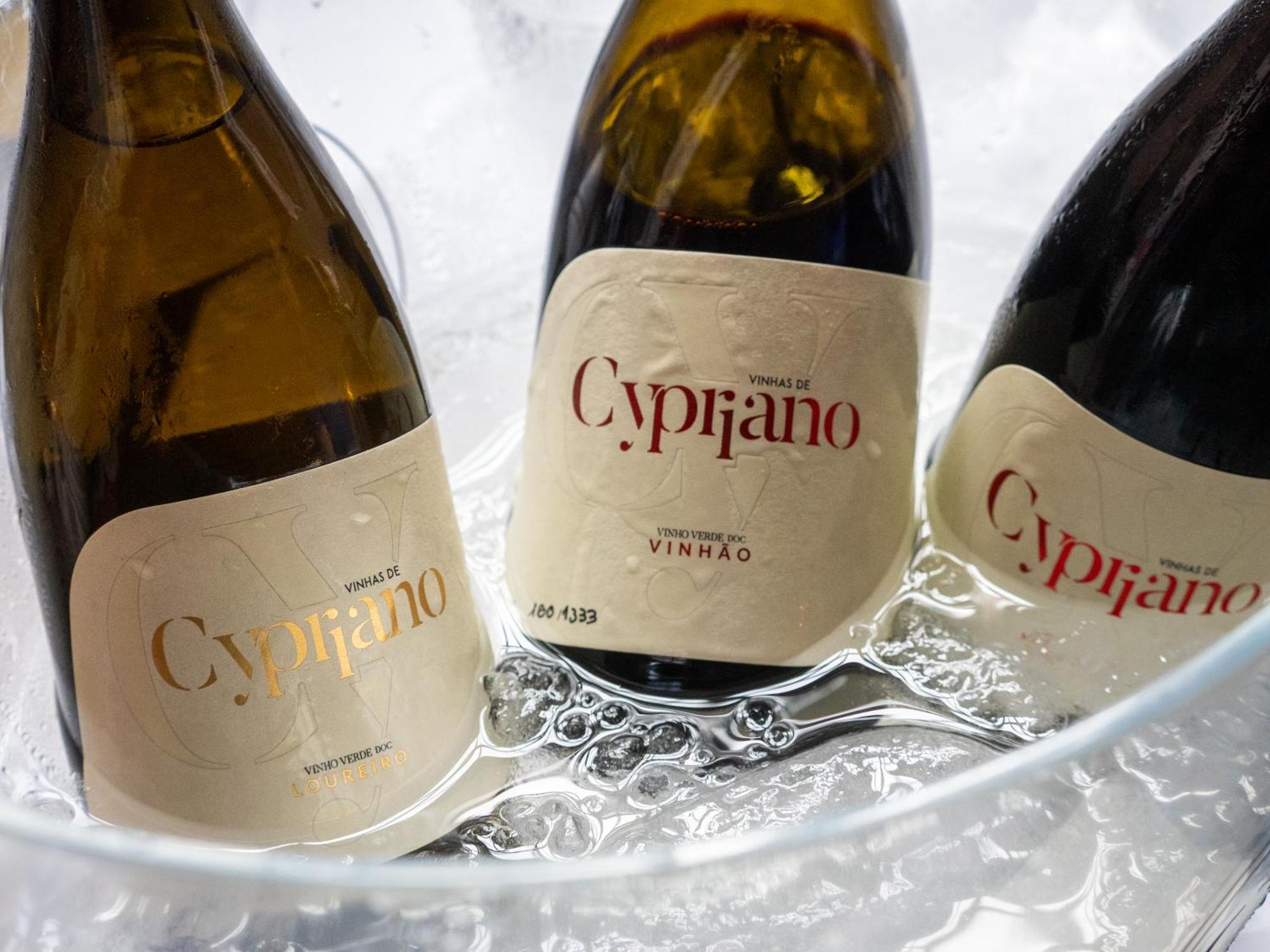 Quinta De Cypriano - Wine & Nature 폰테다바카 외부 사진